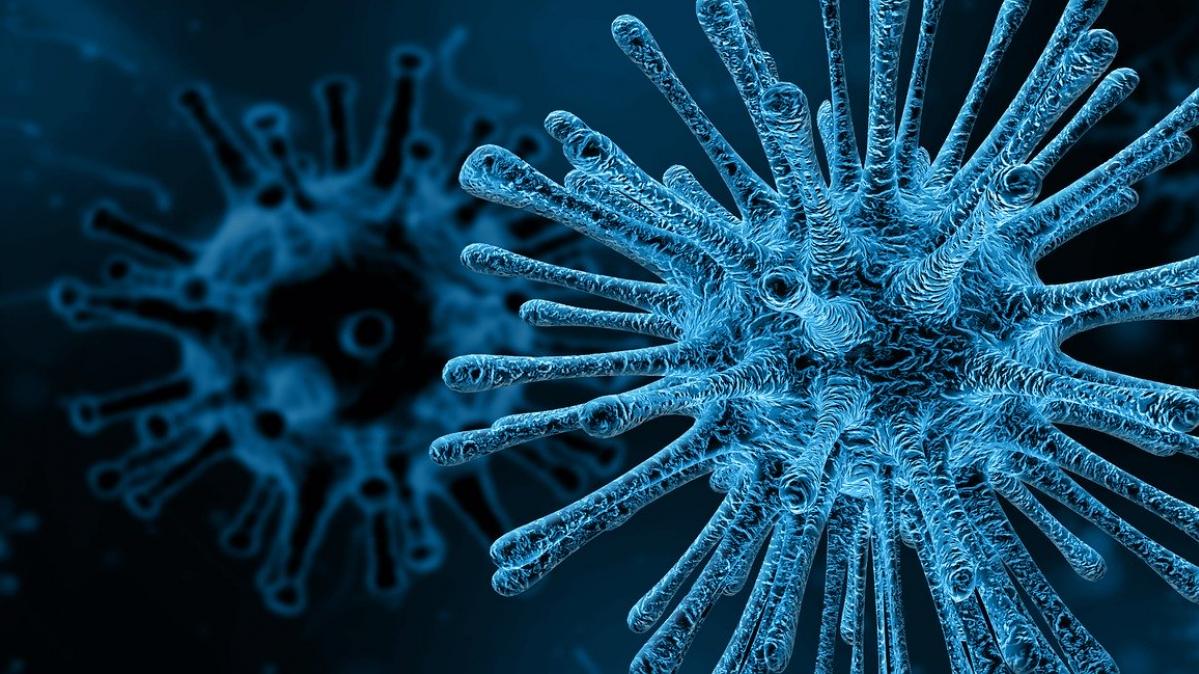 virus blau